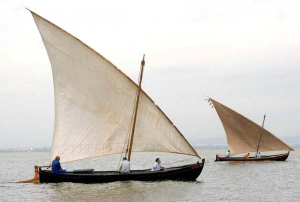 La albufera de Valencia, la Dehesa y sus itinerarios. 0