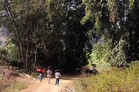 Yingjiang, Yunnan, China 2