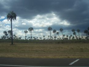 Parque Nacional El Palmar - Argentina 0