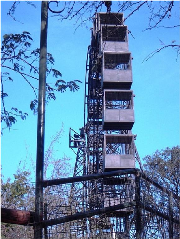 La vuelta al mundo de Gustave Eiffel 1