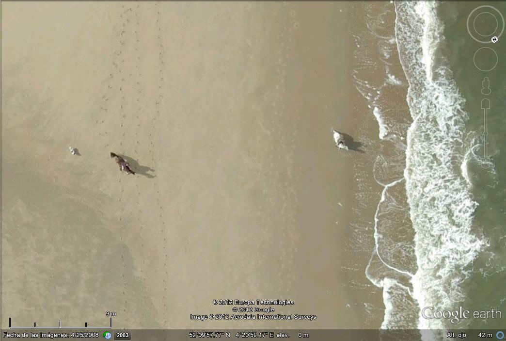 2 caballos y un perro 1 - Lugares del Mundo en Alta Resolución 🗺️ Foro General de Google Earth