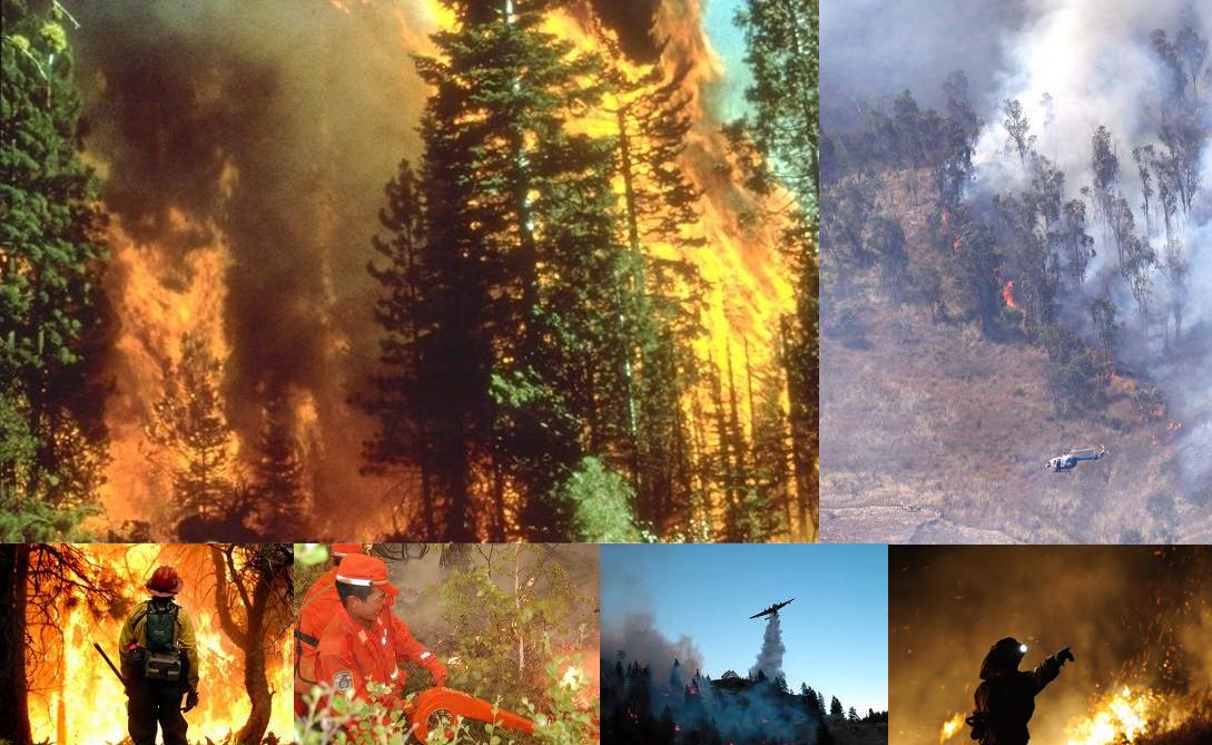 4 de Mayo 1998, DIA INTERNACIONAL DEL BOMBERO FORESTAL 0 - Efemérides 🗺️ Foro de Historia