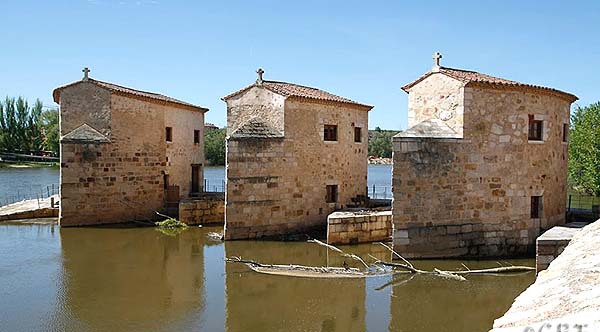 Las aceñas de Zamora. 0