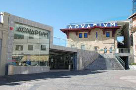 Acuario de Donostia-San Sebastián, Guipúzcoa, Euskadi 0