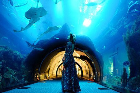 Acuarium, Dubai, Emiratos Arabes Unidos 0