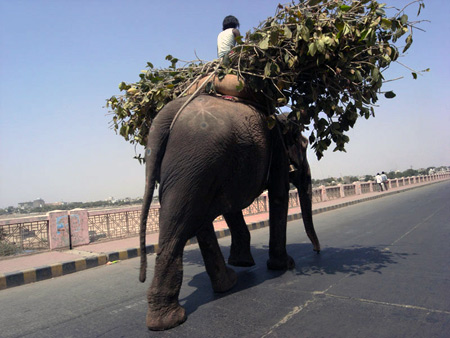 Ahmedabad, Gujarat, India 1