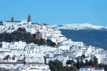 Alcalá de los Gazules, Cádiz, Andalucía (Foto 5)