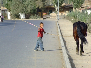 Ali, Xizang, China 0