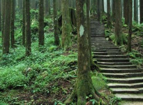 Montaña Alishan, Taiwan 0