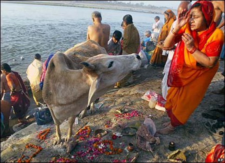 Allahabad, Uttar Pradesh, India 0