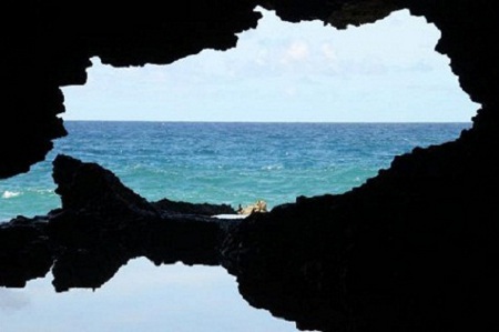 Animal Flower Cave, Saint Lucy, Barbados 1