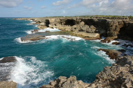 Animal Flower Cave, Saint Lucy, Barbados 0