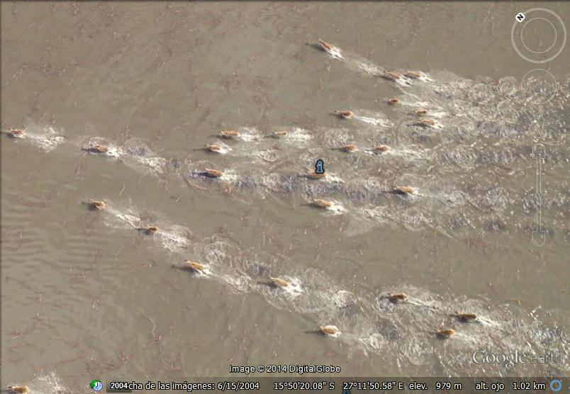 Antílopes corriendo por el lago Manyeke 1 - Sombra del avión de Google Earth en Africa 🗺️ Foros de Google Earth y Maps