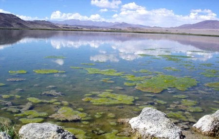 Antofagasta de la Sierra, Catamarca, Argentina 0