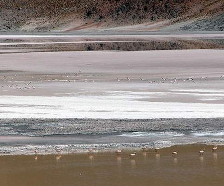 Antogafasta de la Sierra, Catamarca, Argentina 0