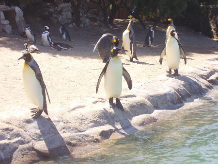 Aquarium, Mar del Plata, Buenos Aires, Argentina 2