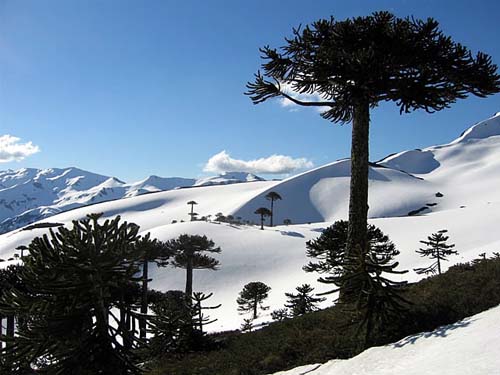 Concurso de Geolocalizacion - Archivo