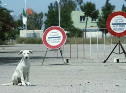 Frontera y perros - Pasos fronterizos por carretera
