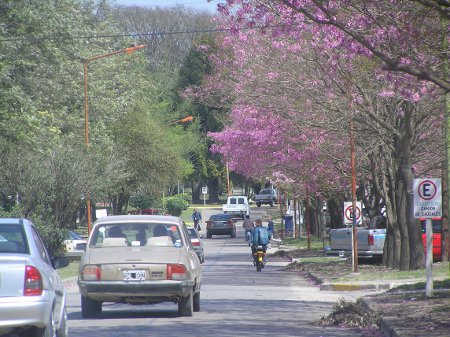 Arias, Córdoba, Argentina 1