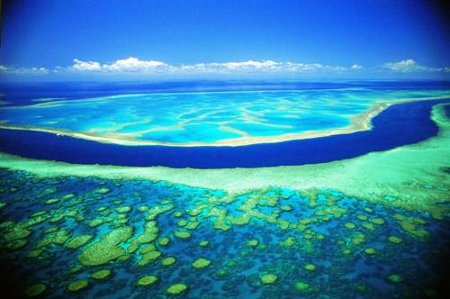 La Gran Barrera de Coral - Australia 1