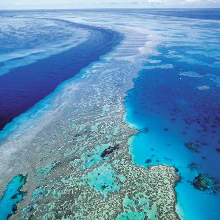 La Gran Barrera de Coral - Australia ⚠️ Ultimas opiniones 2