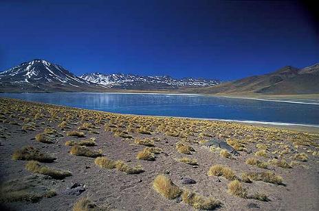 Salar de Atacama - Chile 0