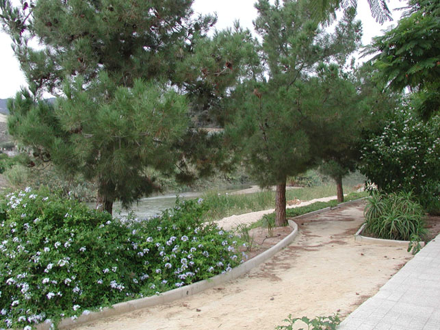 BLANCA- Acariciando el río. 1