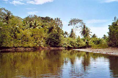 Bahía Drake, Costa Rica 1