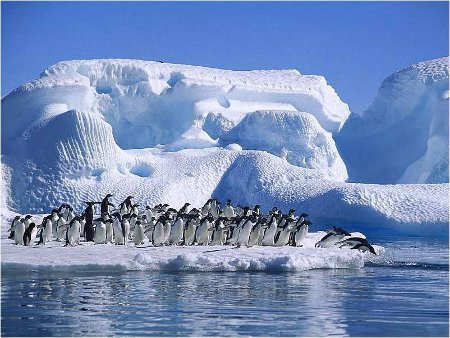 Bahía Esperanza, Antartida, Argentina 0