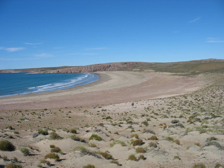 Bahia Oso Marino, Santa Cruz, Argentina 🗺️ Foro América del Sur y Centroamérica 1