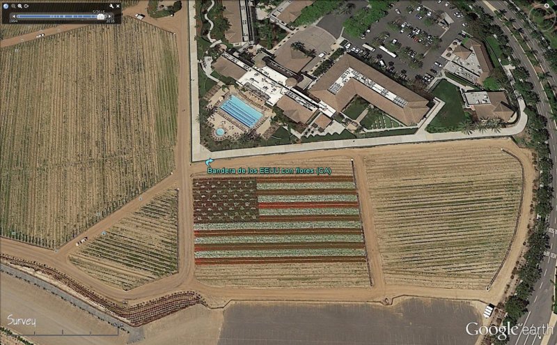 Bandera de USA con flores en Carlsbad, California 0 - Dibujos o figuras gigantes en la superficie de la Tierra
