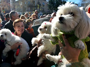 FIESTAS POPULARES 0