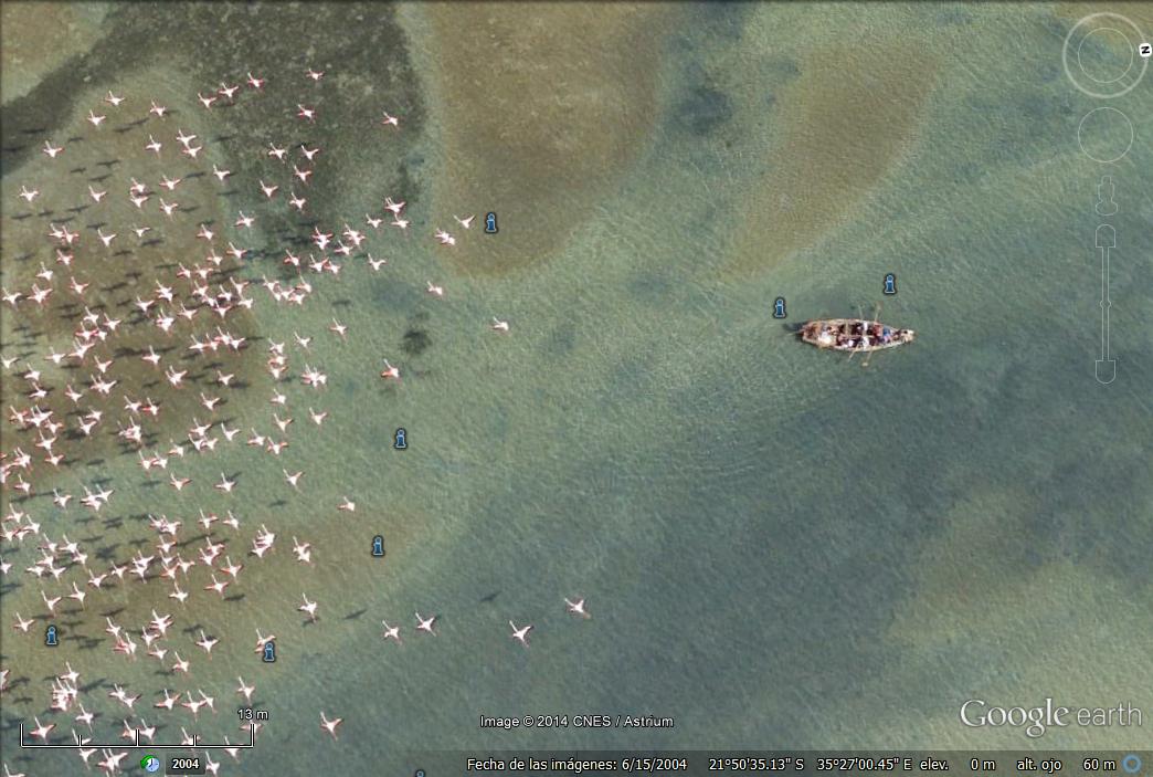 Barco de remos y bandada de flamencos rosa 1 - Mercado Africano 🗺️ Foros de Google Earth y Maps