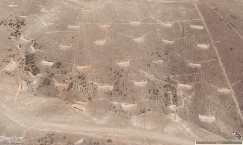 ¿porque se talan los arboles y después se tiran al agua? 🗺️ Foro General de Google Earth 1