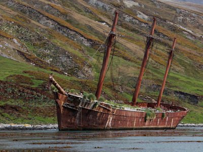 Lugar de hundimiento del Bayard, Georgia del Sur 2 - Barcos Hundidos y Naufragios