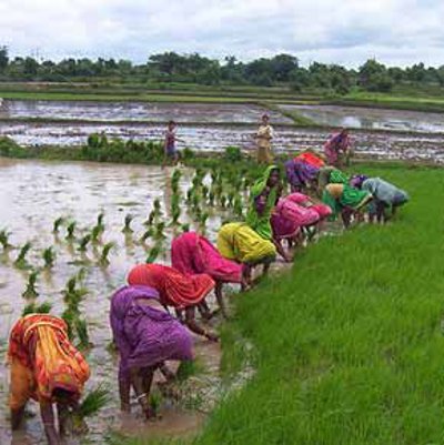 Berhampur, Orissa, India 2