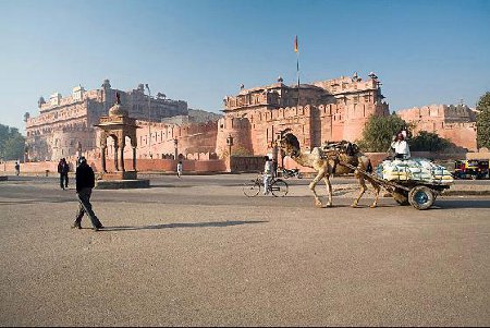 Bikaner, Rajasthán, India 1