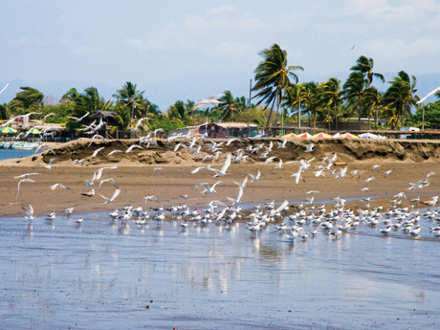 Boca de Apiza, MICH, México 0