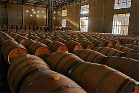 Bodega del Fin del Mundo, Neuquén, Argentina 0