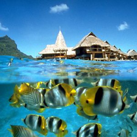 Hotel Bora Bora Lagoon Resort &Spa, Polinesia Francesa 🗺️ Foro América del Sur y Centroamérica 0