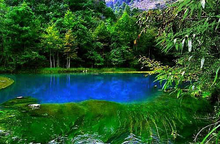 Bosque de Bambu Shunan, Yibin, Sichuan, China 1