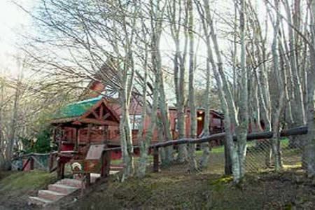 Bosque de Faldeo, Ushuaia, Tierra de Fuego, Argentina 1