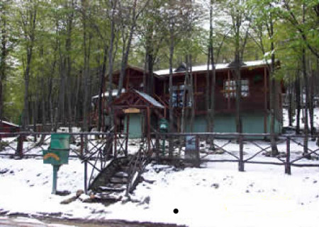 Bosque de Faldeo, Ushuaia, Tierra de Fuego, Argentina 0