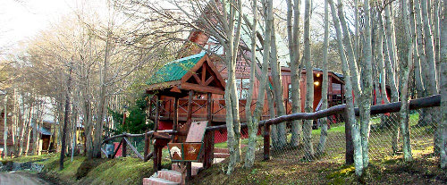 Bosque de Faldeo, Ushuaia, Tierra de Fuego, Argentina 1