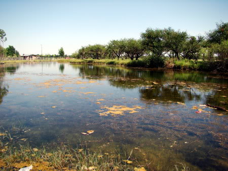 Bosque de los Constituyentes, Rosario, Santa Fe, Argentina 1