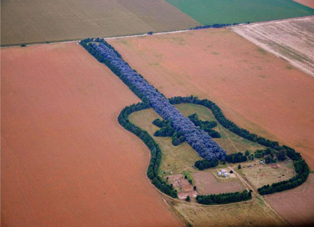 Bosque Guitarra - Cordoba - Argentina 🗺️ Foro América del Sur y Centroamérica 1