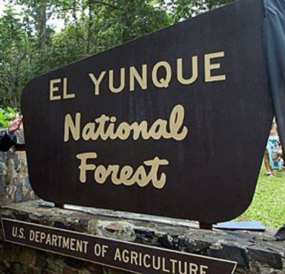 Bosque Nacional El Yunque, Puerto Rico 1