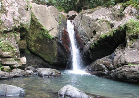 Bosque Nacional El Yunque, Puerto Rico 1