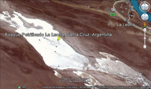Bosque Petrificado La Leona, Santa Cruz, Argentina 🗺️ Foro América del Sur y Centroamérica 2