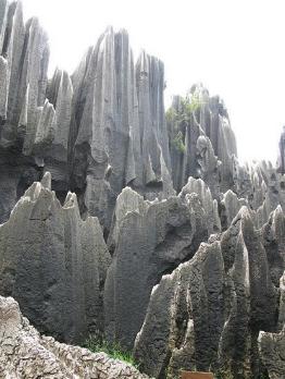 Bosques Pétreos de Yunnan, China 1